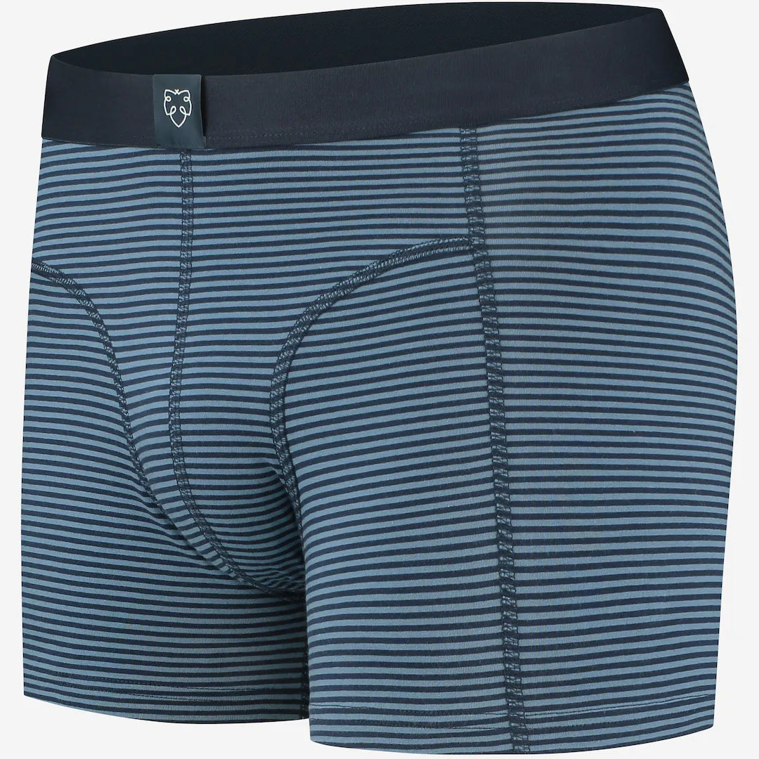The Blues Boxers